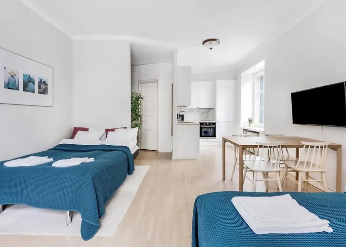 Wehost Modern Scandinavian Studio In Trendy Kallio