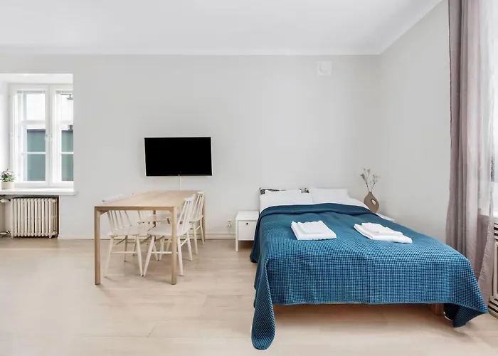 Wehost Modern Scandinavian Studio In Trendy Kallio