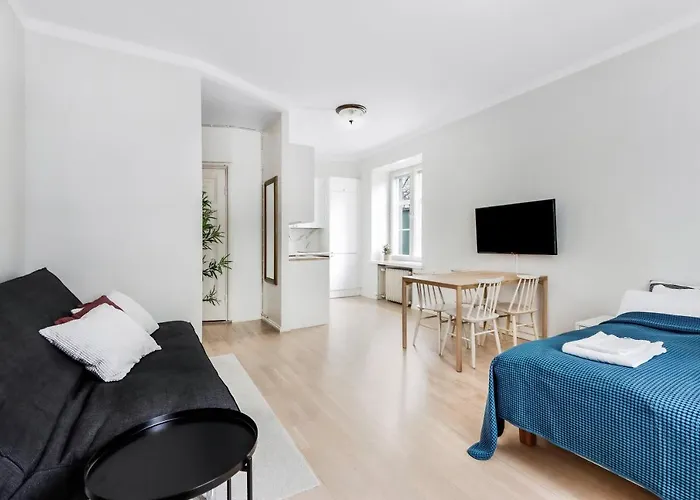 Wehost Modern Scandinavian Studio In Trendy Kallio